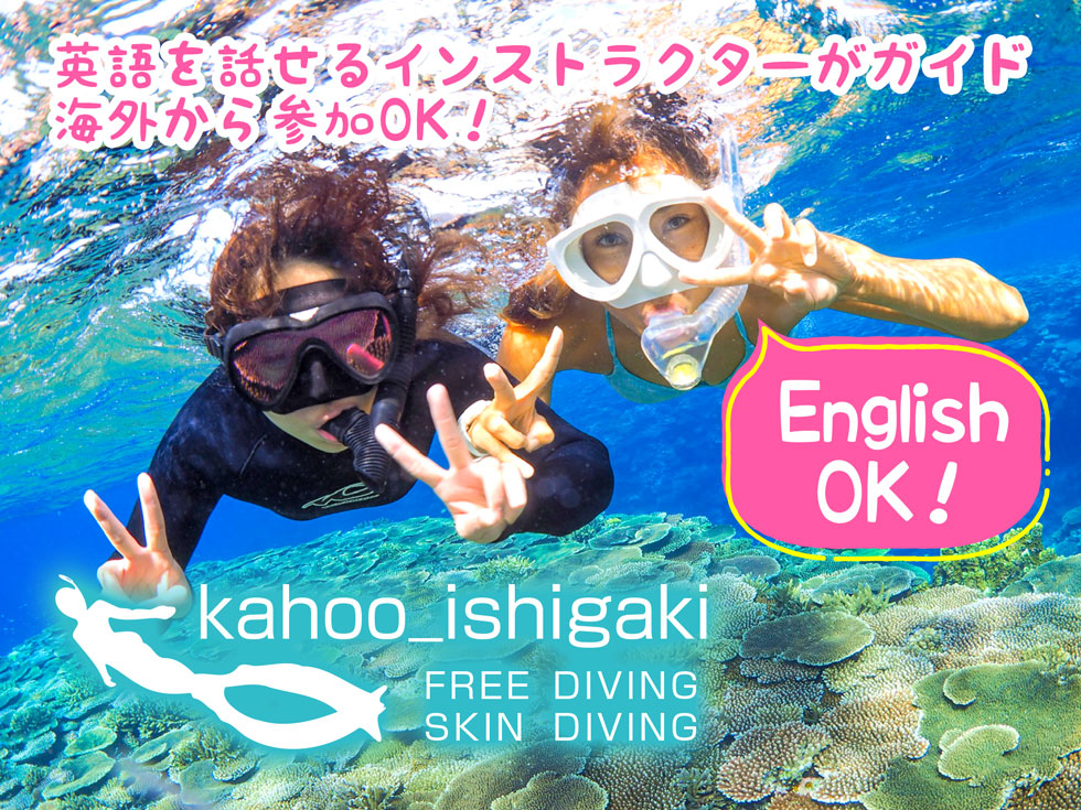 海外から参加OK、英語を話せるインストラクターがガイドするフリーダイビングツアー